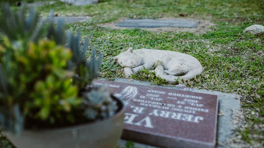 gift for loss of pet