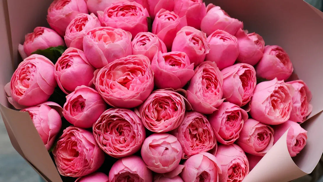 Top 10 Thoughtful Gifts to Comfort Someone Who Lost Their Mother