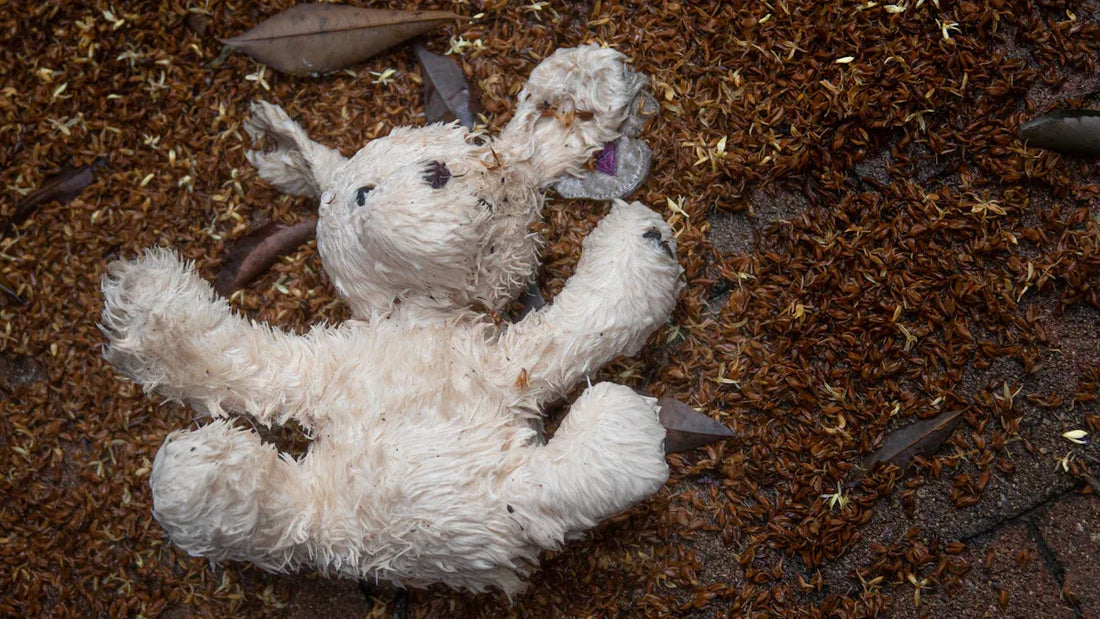 pet loss gifts