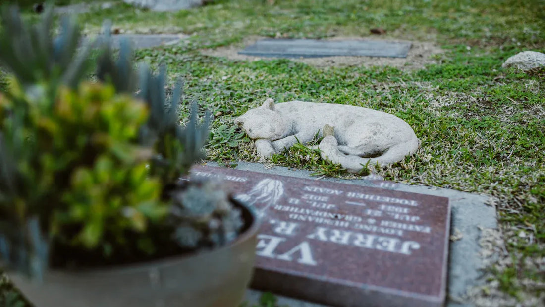 gift for loss of pet