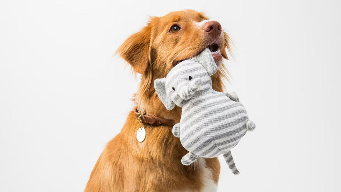 custom pet gifts​